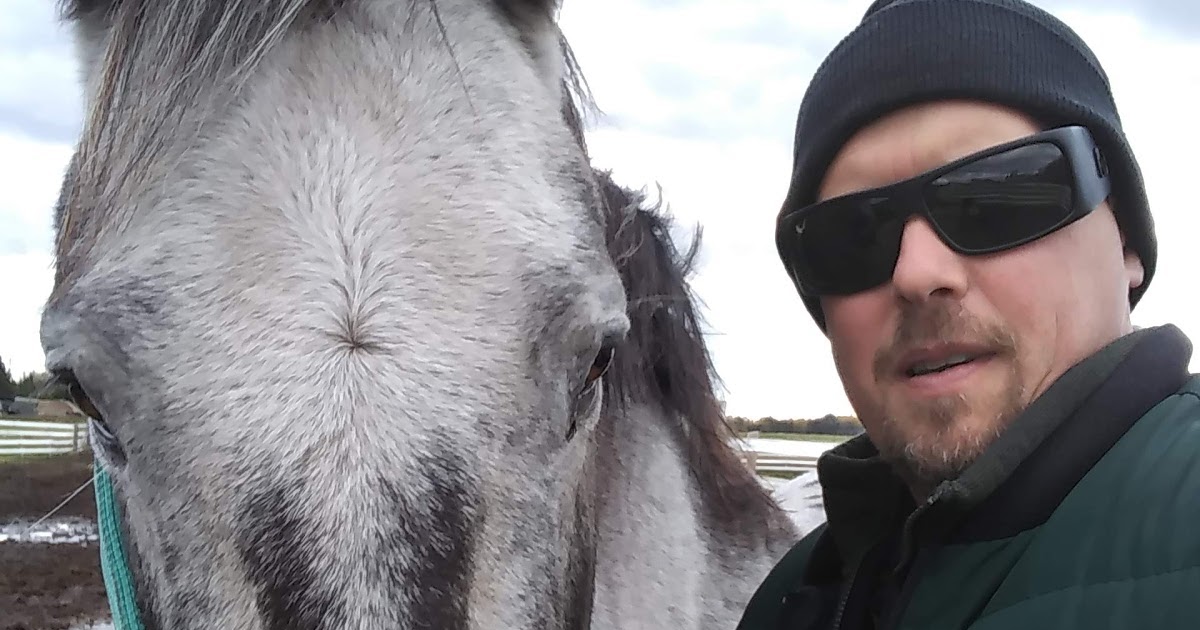 Horses that Follow YouWhat does it mean and why?