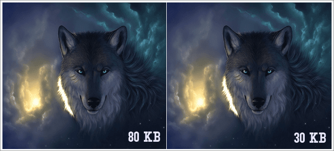 wolf