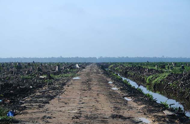 most interesting environmental issues most interesting environmental issues