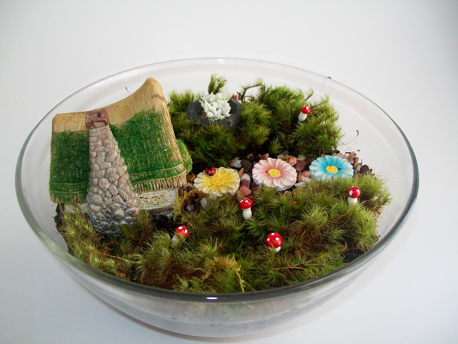 Musings of a Vintage Junkie DIY Miniature Fairy Garden Terrariums