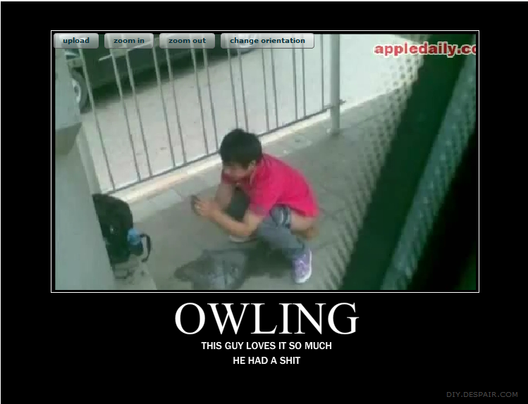 Blame the Internet: Owling, The Craziest Internet Fad Yet