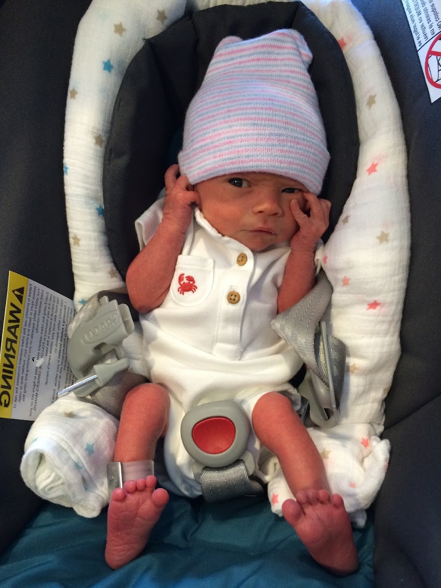 Car Seats For Newborn Twins