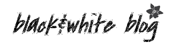 black&white blog 