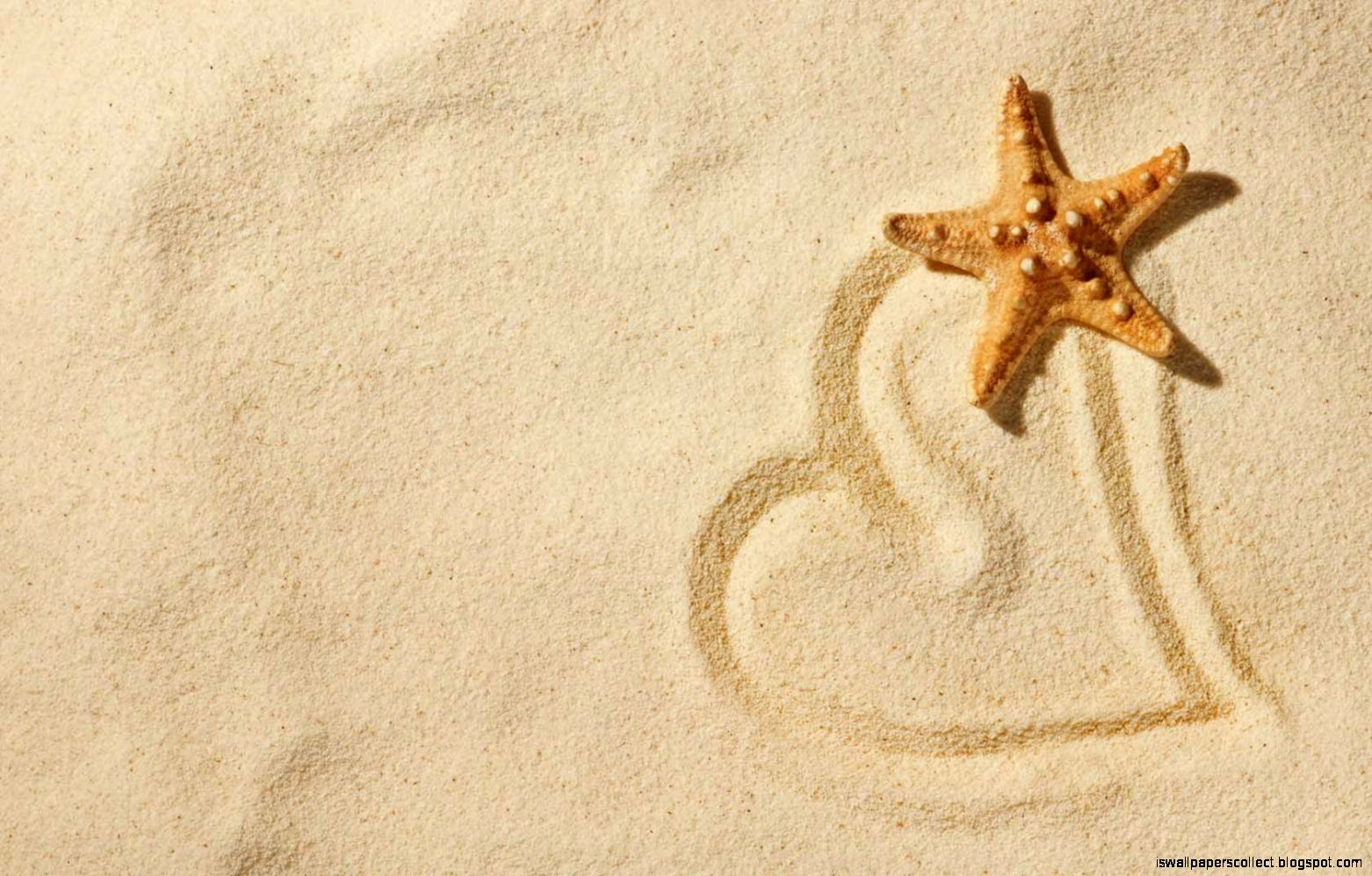 Beach Pictures With Starfish | Wallpapers Collection