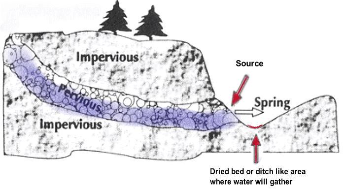 Urban Prepper Chick - Learn as I Go: Finding a Water Spring or Seep