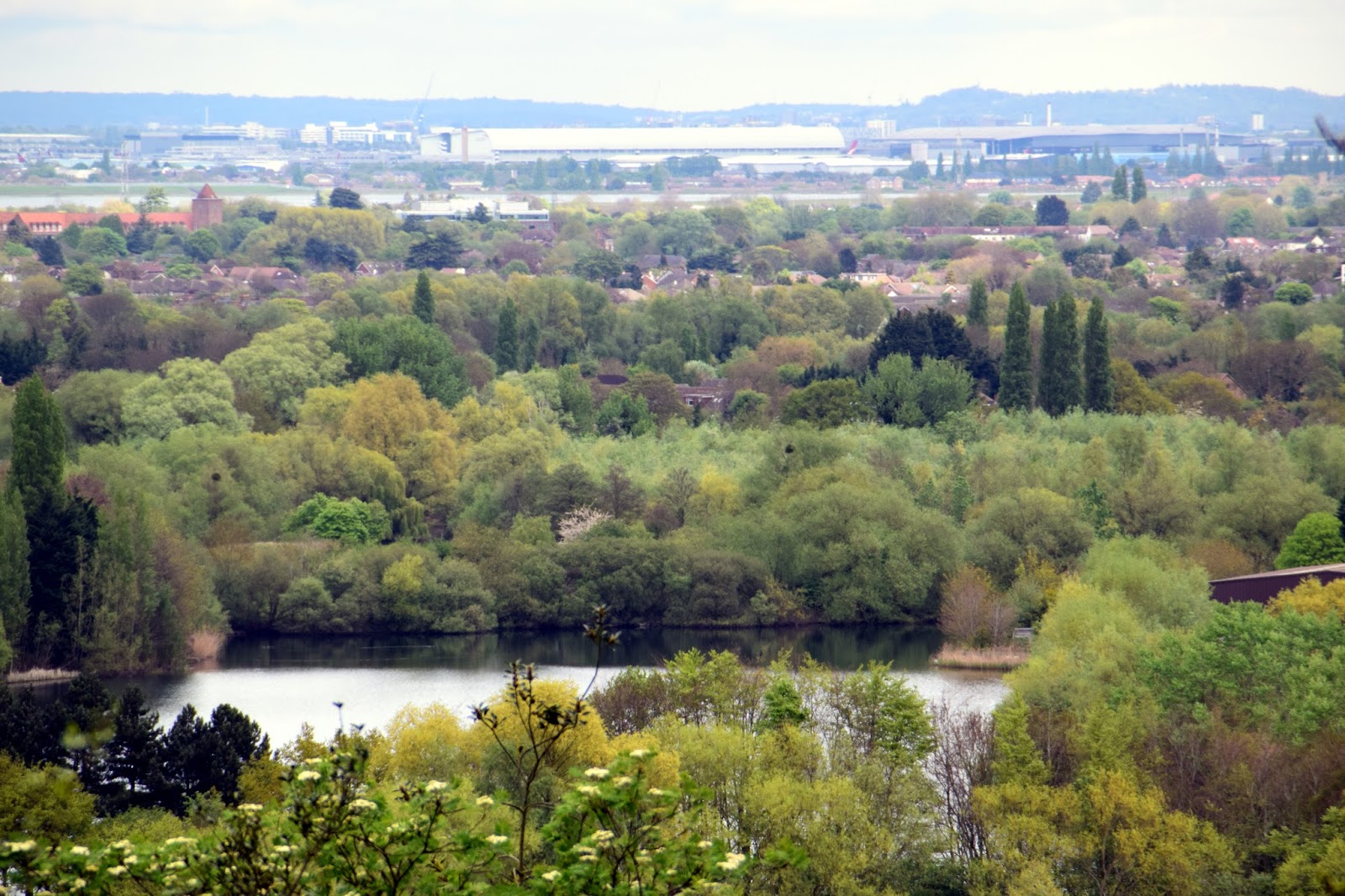 Enjoy your time with beautiful places St Ann's Hill, St Ann's Hill