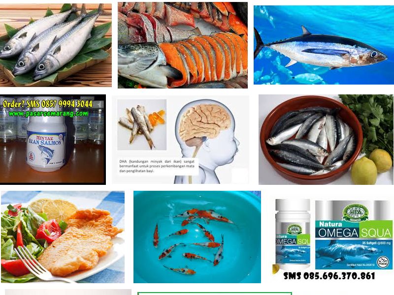 Resepi Ikan Salmon Untuk Bayi 10 Bulan Rasmi Sua Resepi Ikan Salmon Untuk Bayi 10 Bulan Rasmi Sua