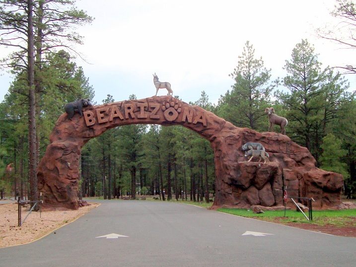 Highway Runner BEARIZONA WILDLIFE PARK IN WILLIAMS, AZ