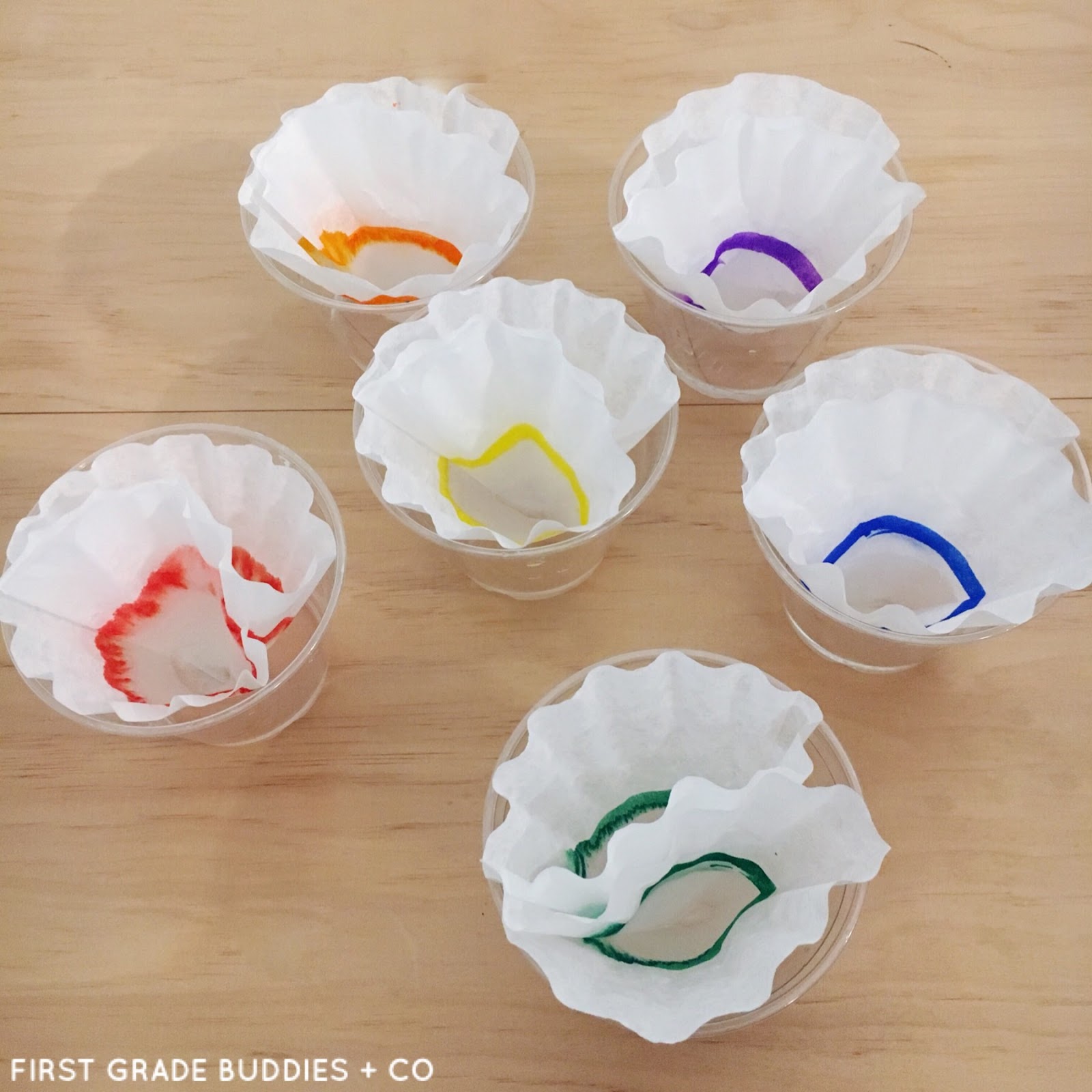 Simple Science Rainbow Coffee Filters First Grade Buddies