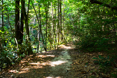 Jones Gap Trail  Hiking trails in SC and beyond