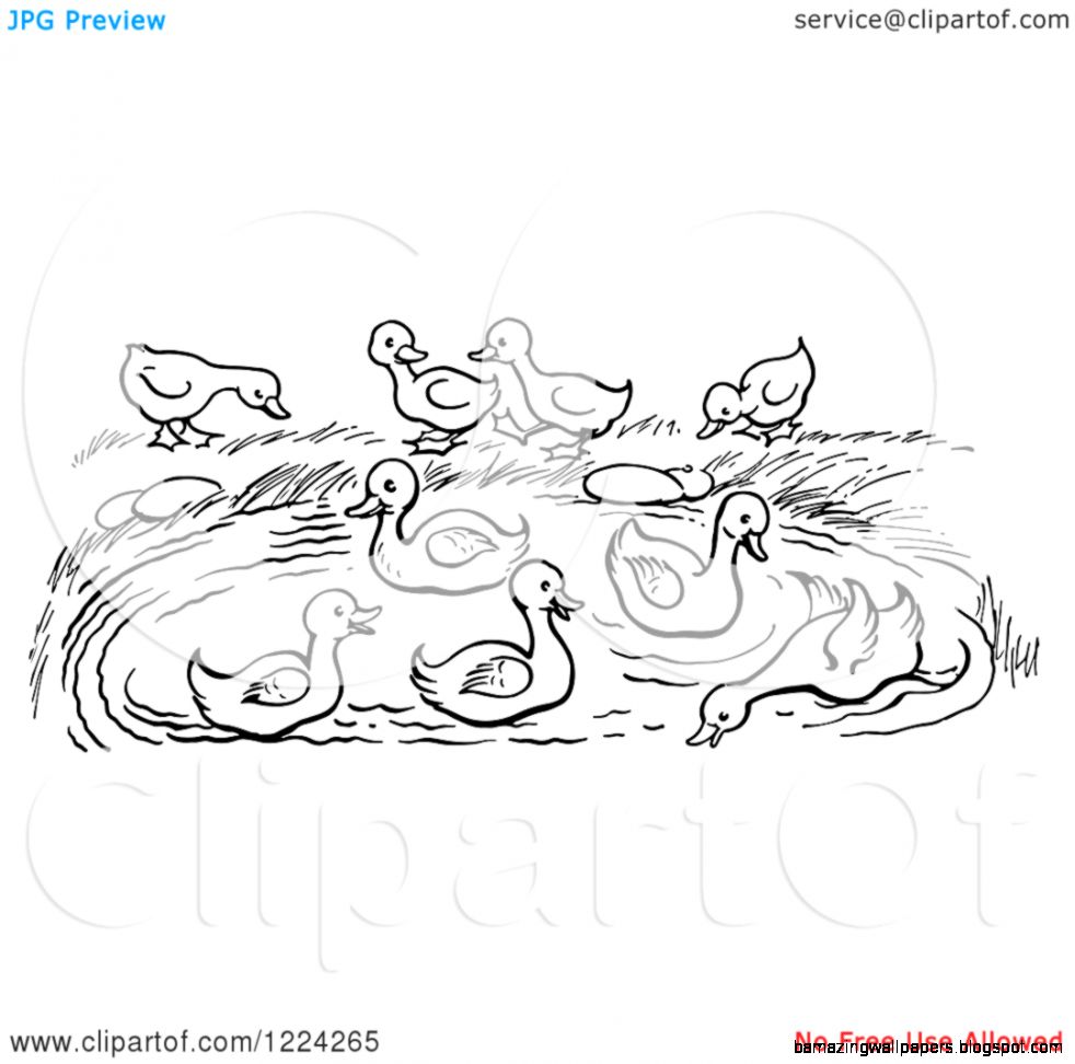 Lake Clipart Black And White Info 503  NEXTHON