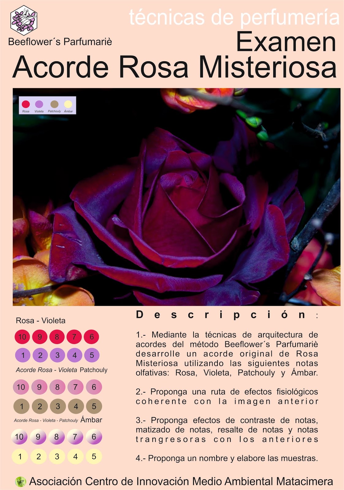 Curso de perfumista