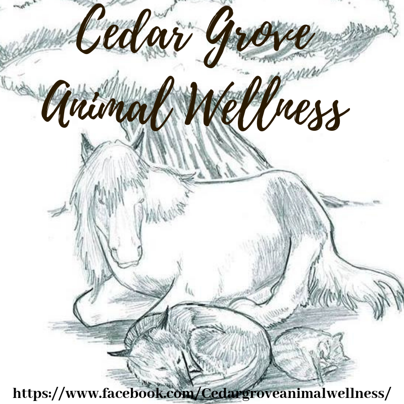 Cedar Grove Animal Wellness