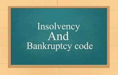 Insolvency and Bankruptcy Code Insolvency and Bankruptcy Code