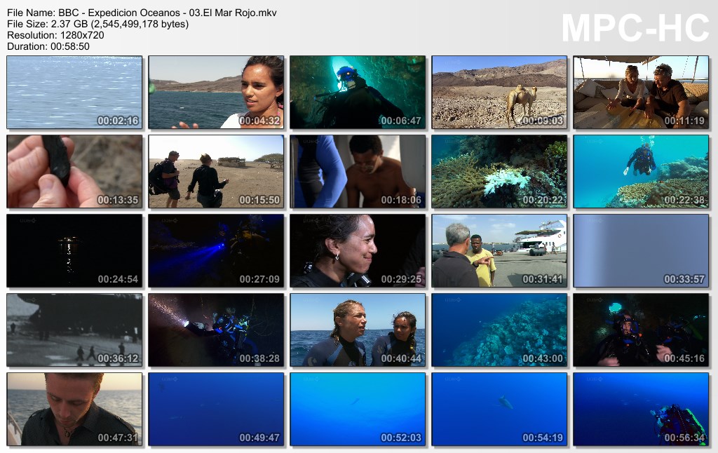 14GB|BBC|Expedicion Oceanos|HDRip|Dual Audio|MEGA|Taykun