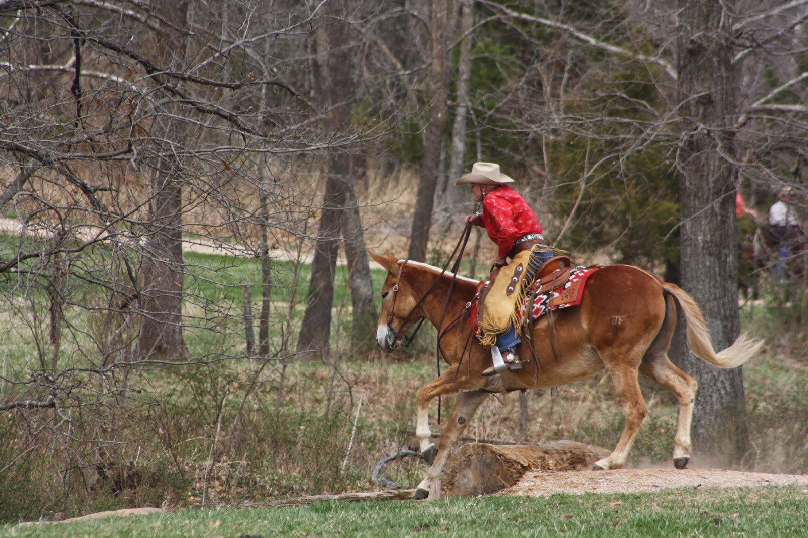 PairADice Mules: More Mules at the Trail Competition