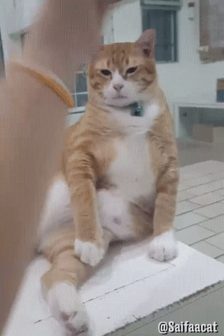 ydc9Ild.gif