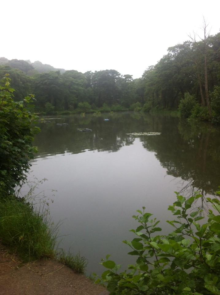 UK fishing venues Loxley Fishery Venue Review