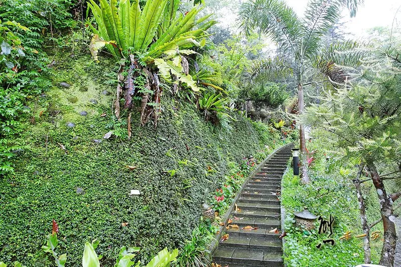 苗栗南庄景觀餐廳|幸福綠光餐廳