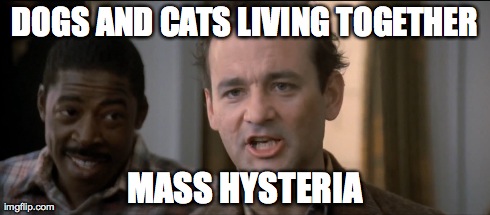 cats and dogs living together ghostbusters quote