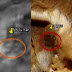Número 58 encontrado en la Luna y Marte coincidencia o señales inteligentes?