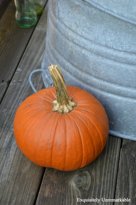 What to do with leftover halloween pumpkins