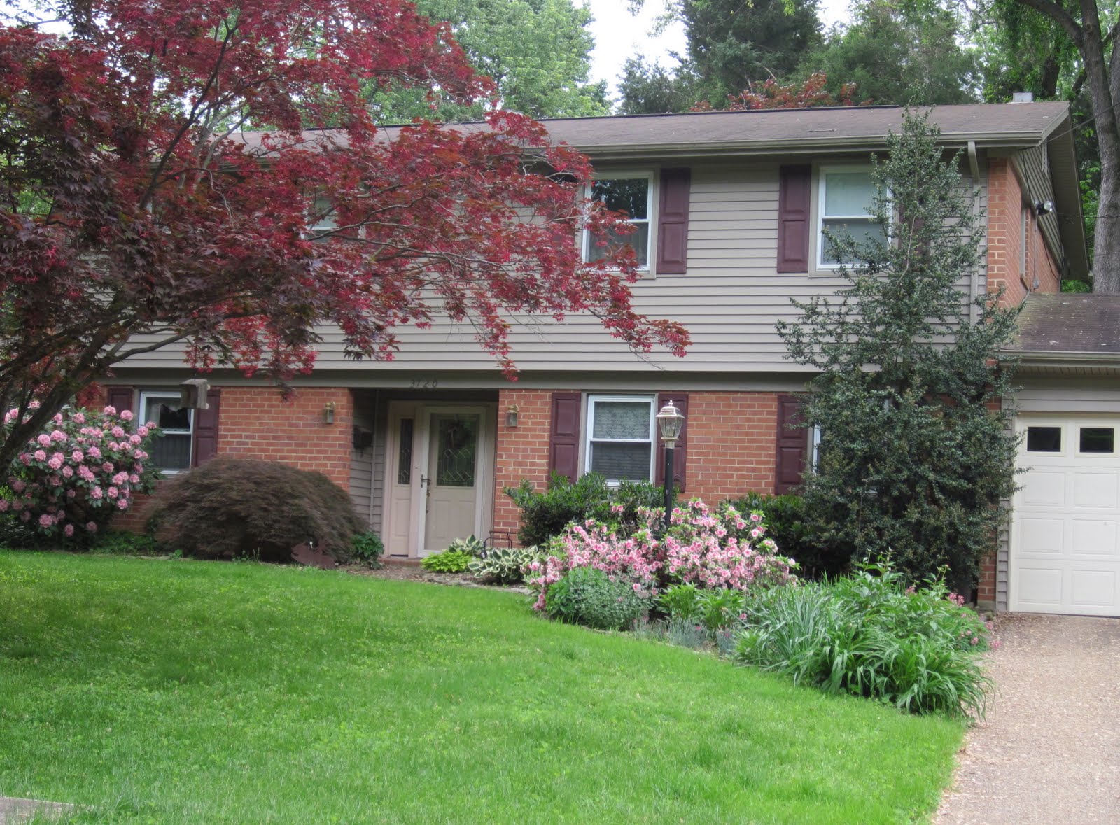 the Annandale Blog Neighborhood Spotlight Sleepy Hollow Woods has