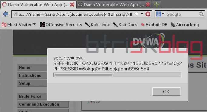 Script alert xss script. Alert (document. cookie); функция. script alert xss script на сайте.