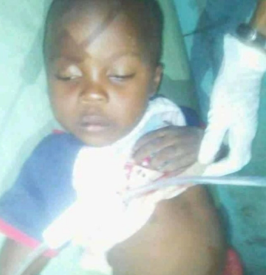 boy intestines ripped out school