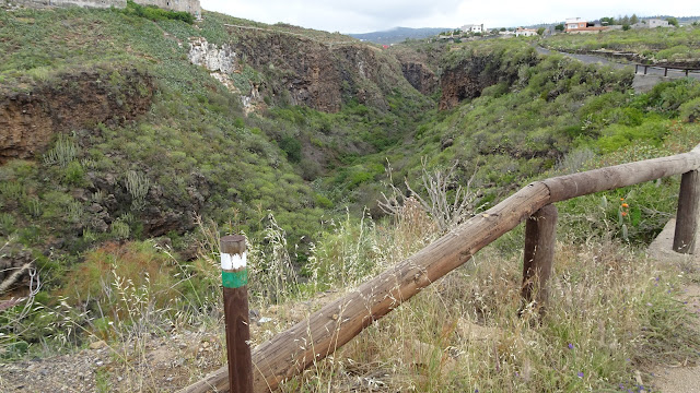 looking into the barranco del drago, tenerife