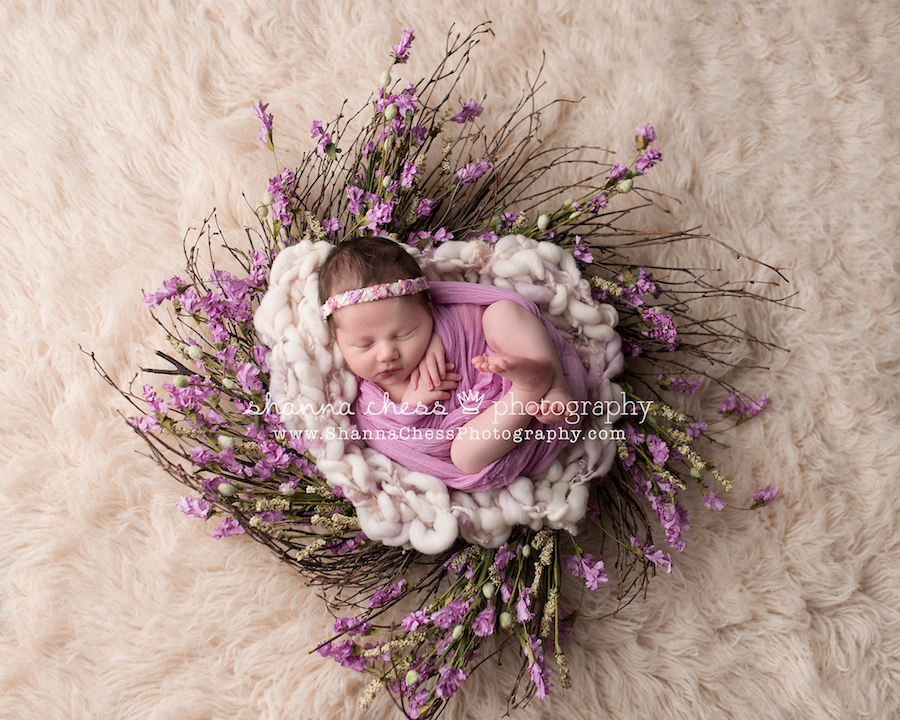 eugene oregon newborn photographer
