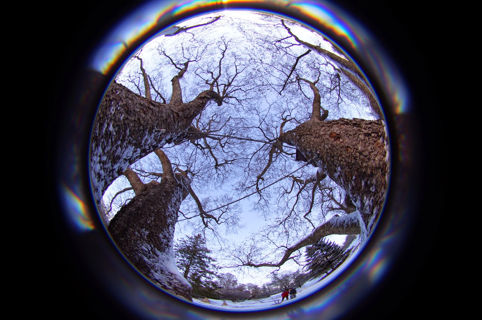 Micro 4/3rds Photography Lensbaby 5.8mm f/3.5 circular fisheye