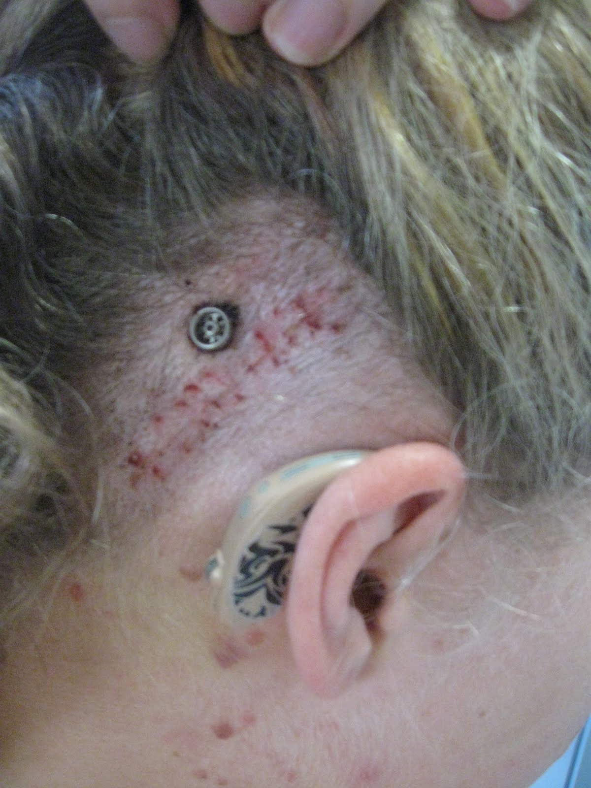 THE BRADBURNS God Gave Us Two Ears