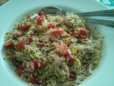 insalatina di quinoa, germogli e pollo (o seitan)