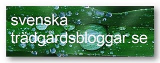 Svenska Trädgårdsbloggar