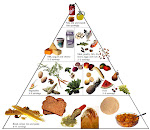 THE FOOD GUIDE PYRAMID