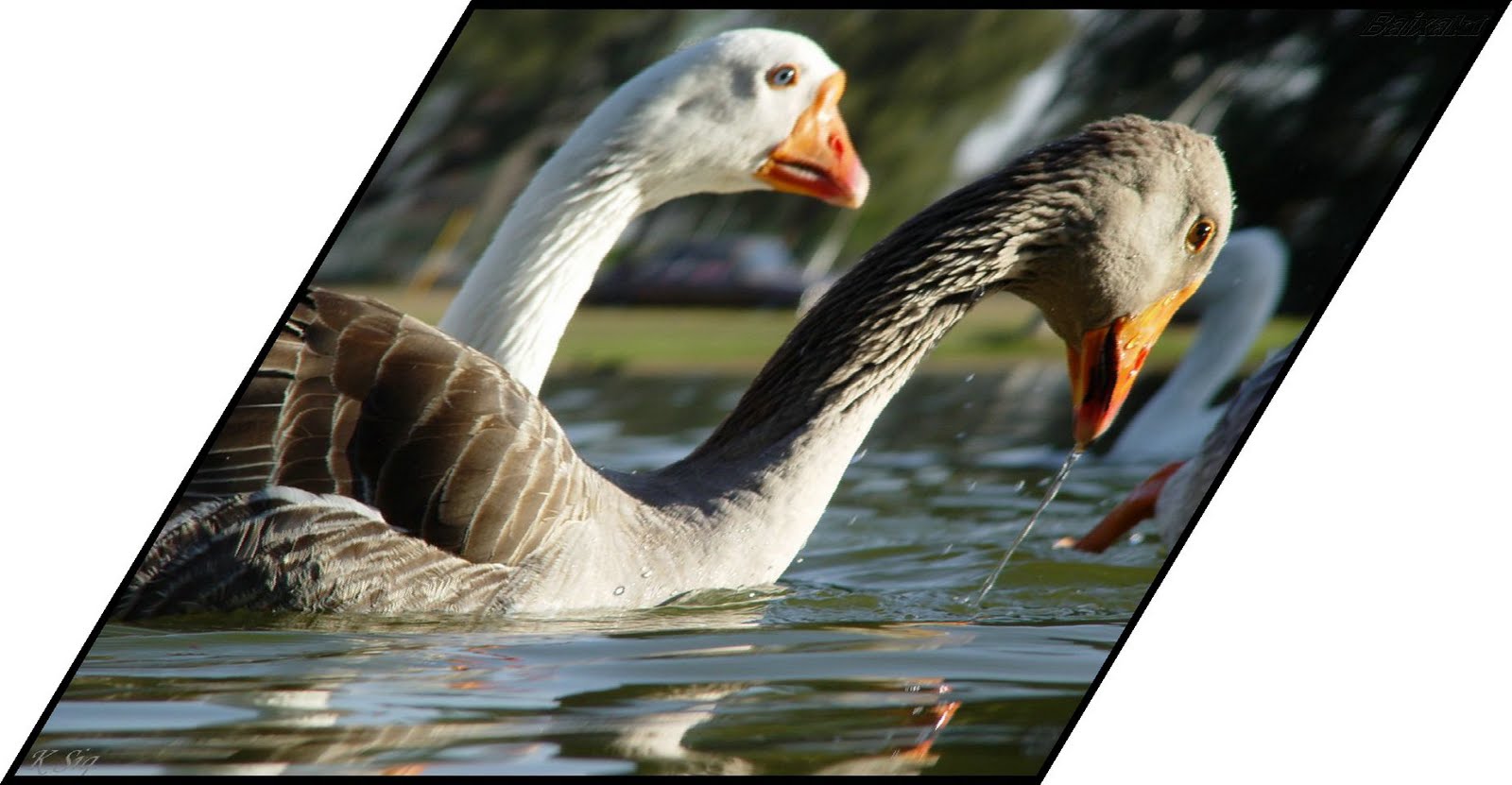 Davidmiguelito imagen y sonido 4TO SOC CJA: Trabajo con imágenes