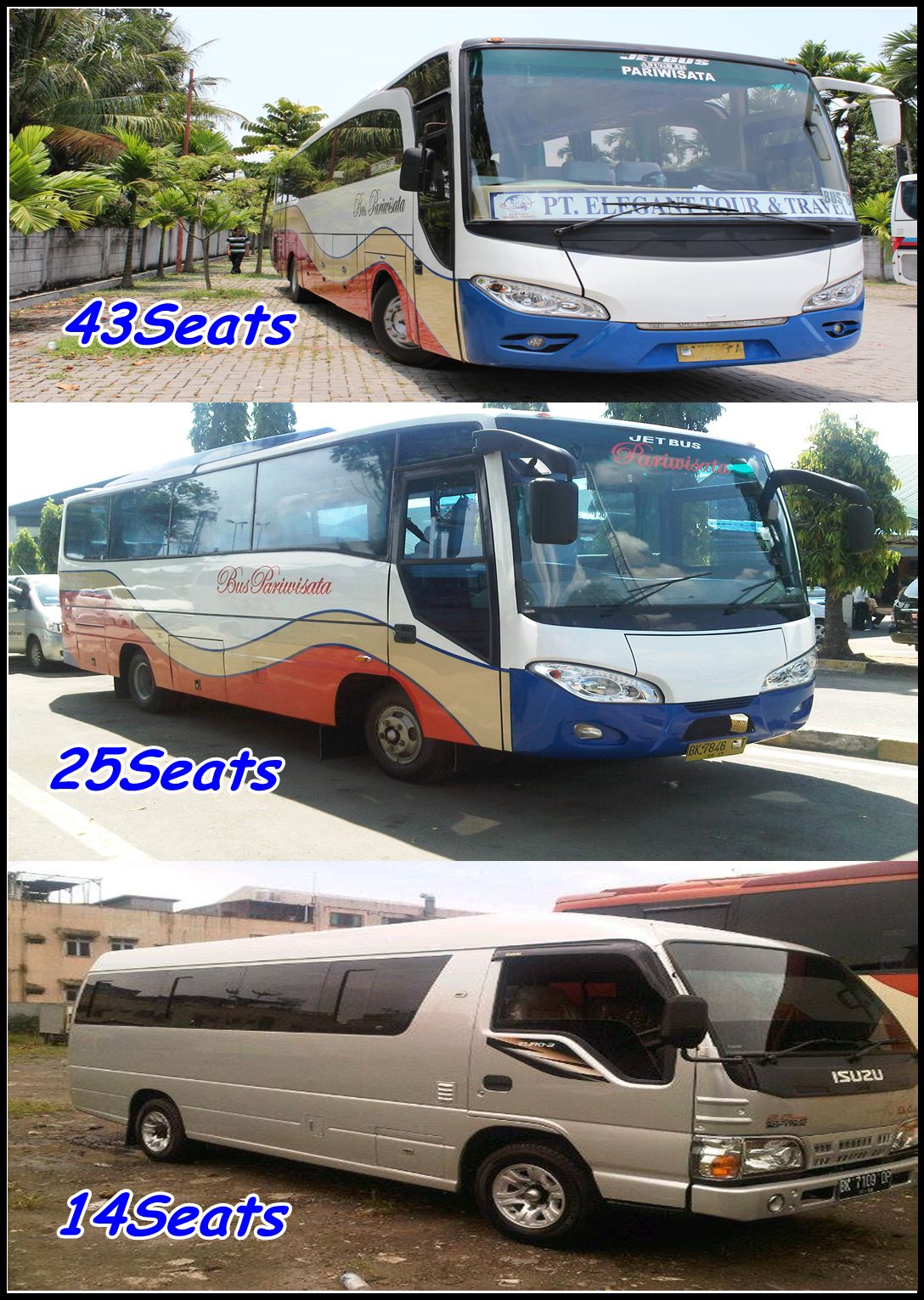 Bus Medan Pariwisata: Mengurai Potensi dan Tantangan Transportasi Wisata di Ibukota Sumatera Utara