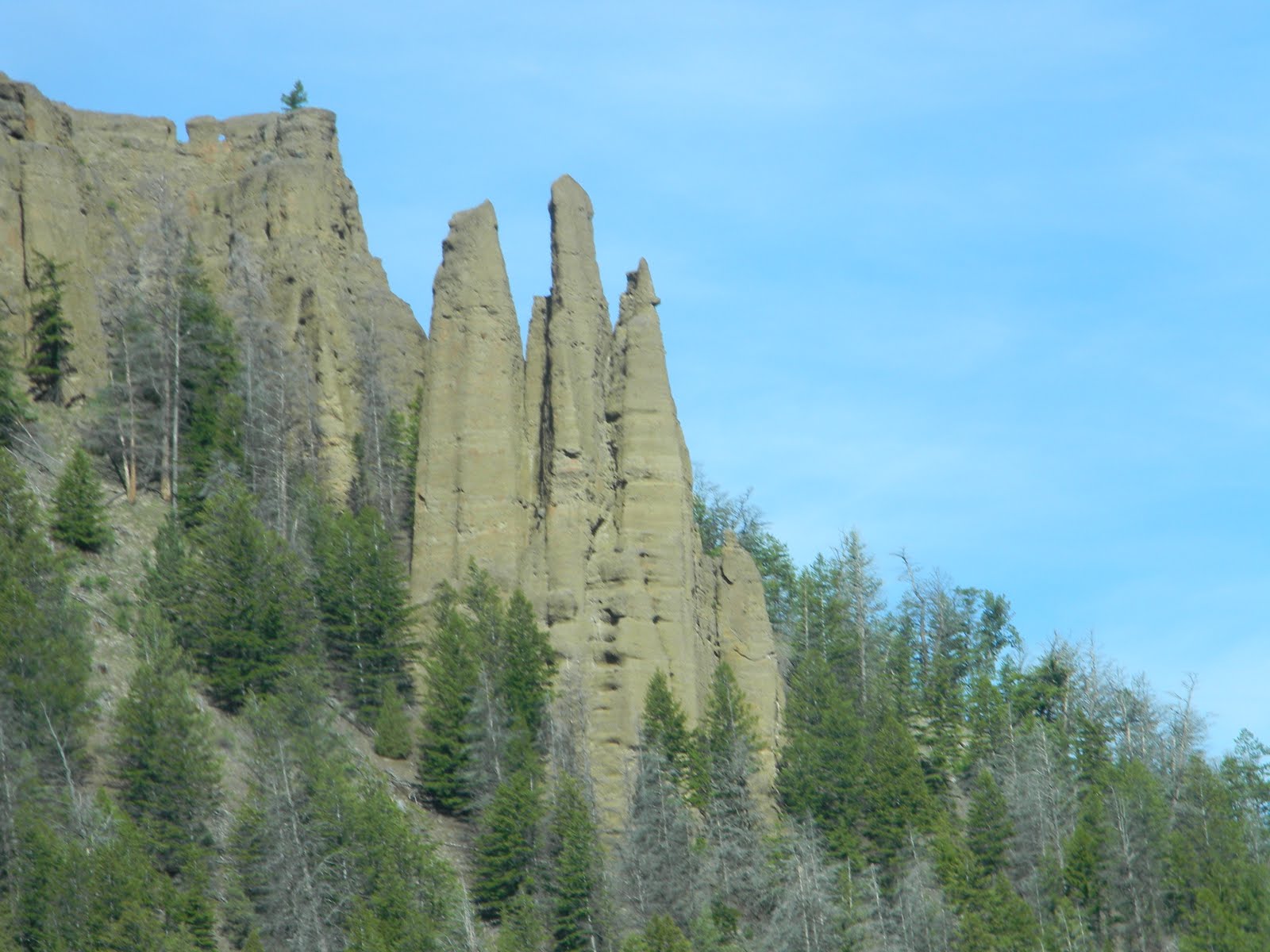 After the Trees Yellowstone National Park Geologic Heart of America