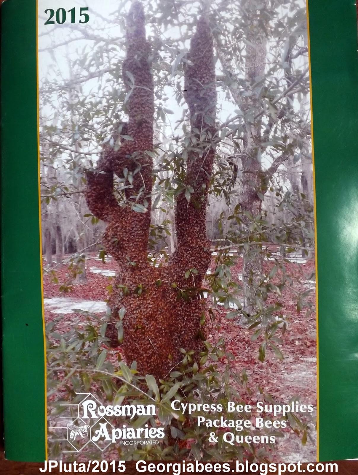 BEEKEEPING Beekeeper Honey Bees Pollen Wax Candle Propolis Queen Nuc