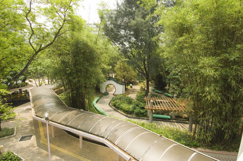 El bambú en el Jardín : Jardín y Terrazas