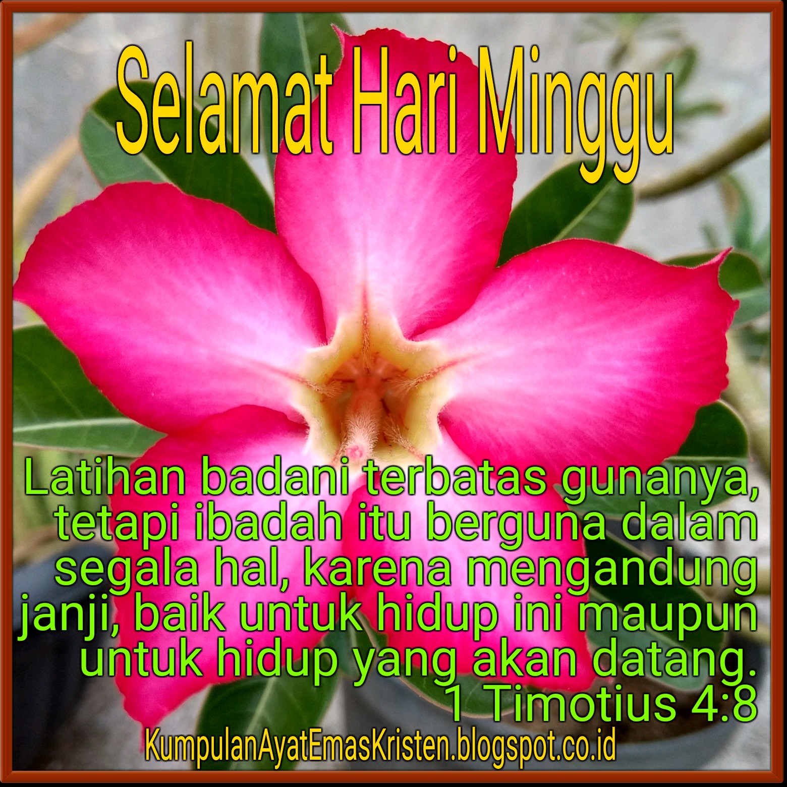 94+ Gambar Ucapan Selamat Hari Minggu Selamat Beribadah