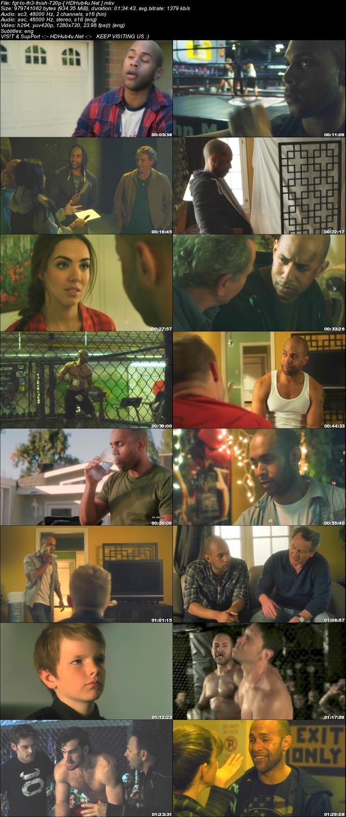 Fight To The Finish 2016 Hindi Dual Audio 720p WEB-DL 900Mb Download