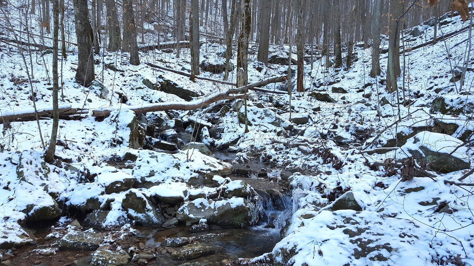 Alex Hauck Frozen Head State Park Chimney Tops to Spicewood