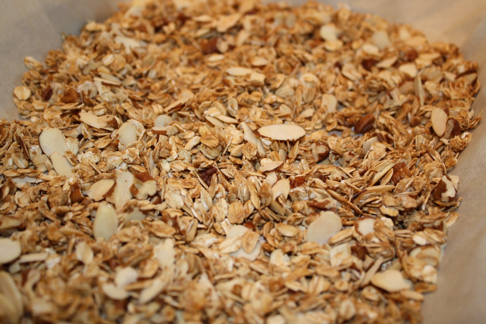 Hot Dinner Happy Home LowFat Granola