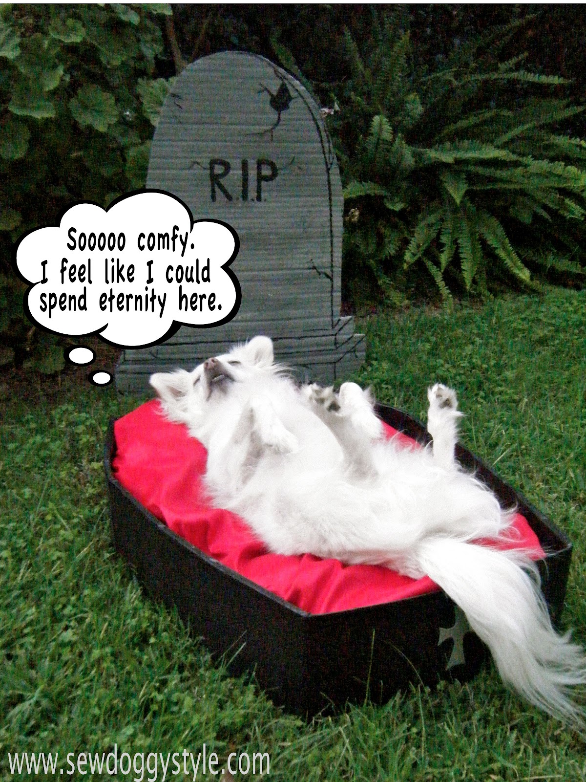 Sew DoggyStyle Halloween DIY Dog Bed Coffin