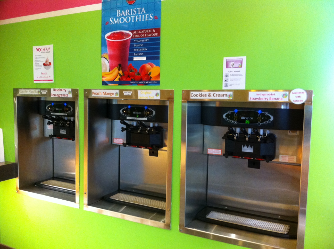 Two Girls, One Scoop Nanaimo Yorway Frozen Yogurt Bar