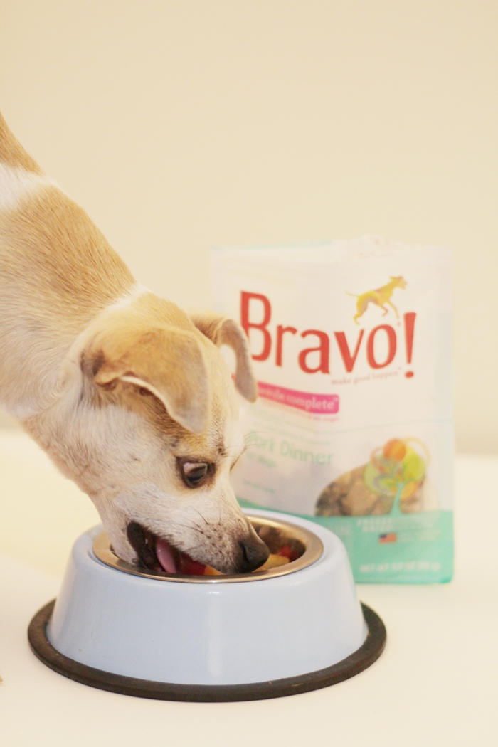 happyhazel Bravo Raw Dog Food Homestyle Complete Dinners