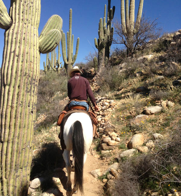 Camping and Horses Catalina State Park Equestrian Camping and