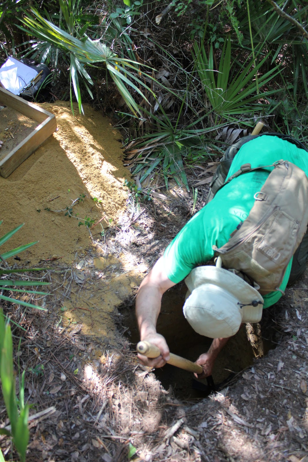 University of West Florida Campus Field School Shovel Testing
